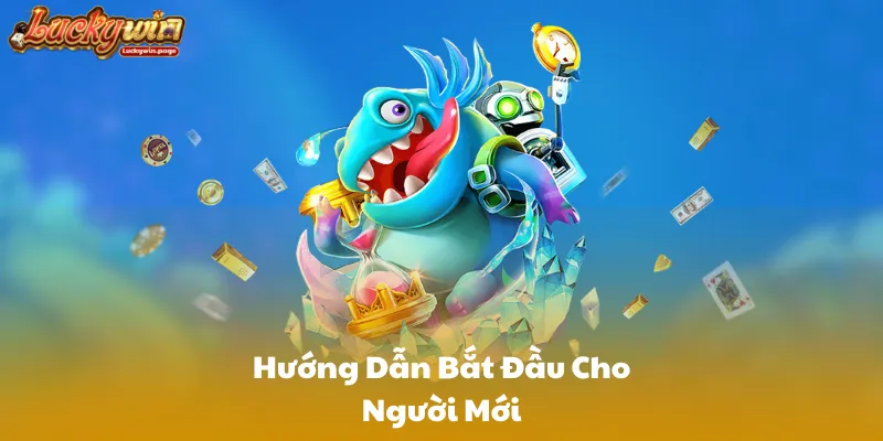 Hướng Dẫn Bắt Đầu Cho Người Mới