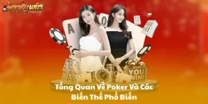 Tổng Quan Về Poker Và Các Biến Thể Phổ Biến