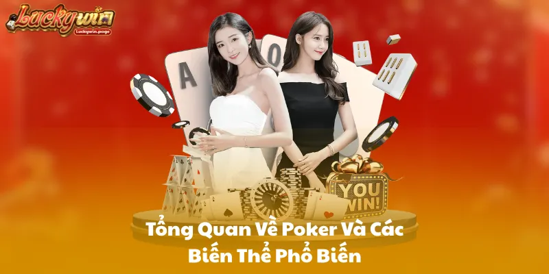 Tổng Quan Về Poker Và Các Biến Thể Phổ Biến