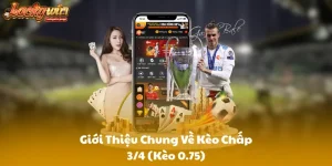 Giới Thiệu Chung Về Kèo Chấp 3/4 (Kèo 0.75)