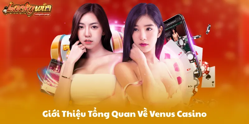 Giới Thiệu Tổng Quan Về Venus Casino